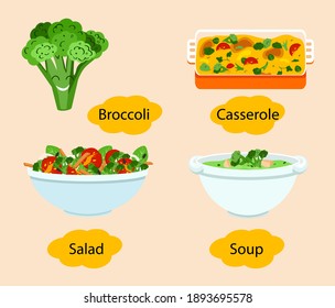 Broccoli dishes. Soup in white bowl and tasty casserole with broccoli and cheese, salad with broccoli and cherry tomatoes. Vector illustrations