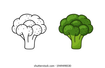 Broccoli doodle icon. Linear and color version. Black simple illustration of green vegetable. Contour isolated vector pictogram on white background