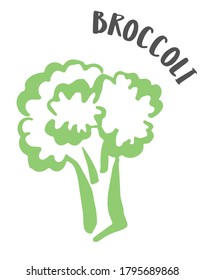 Broccoli drawing hand painted with ink brush isolated on white background. Vector illustration
