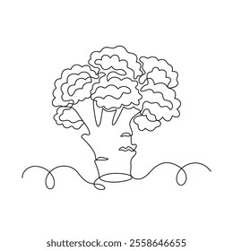 Broccoli drawn in continuous line in minimalism, healthy eating, vegetarianism, vegetable, garden plant, one line, editable vector contour