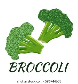 Broccoli. Flat design. Vector illustration. Ripe vegetable for Your ideas.