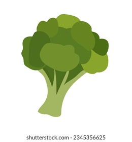 Broccoli flat icon vector illustration, brokoli vegetable in cartoon style