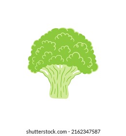 Broccoli Flat Vector Doodle Illustration. Green Vegetables Healthy Food Clipart