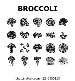 broccoli food cabbage vegetable icons set vector. brocolli green, vegan character, design salad, plant veggie, happy healthy, vitamin broccoli food cabbage vegetable glyph pictogram Illustrations