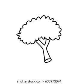 broccoli food nutrition vitamins health line
