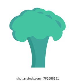 broccoli food vegetable 