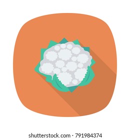 broccoli food vegetable 
