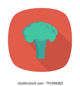 broccoli food vegetable 