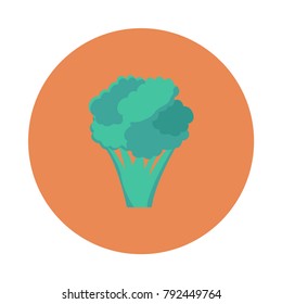 broccoli food vegetable 