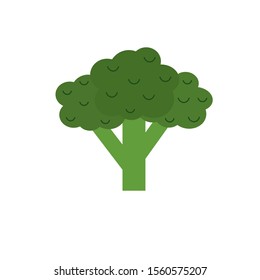 Broccoli fresh healthy vegetable made in flat style. Is isolated for easy use. Healthy lifestyle or diet vector design element. Organic farm illustration.