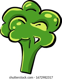 Broccoli fresh, illustration, vector on white background.