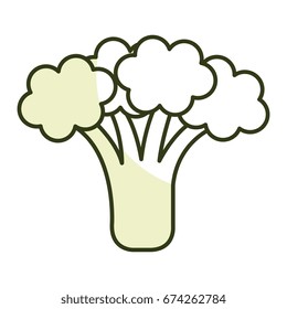 broccoli fresh isolated icon