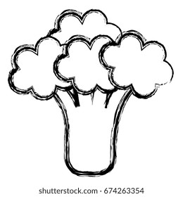 broccoli fresh isolated icon