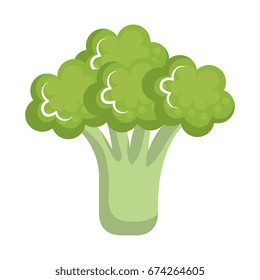 broccoli fresh isolated icon