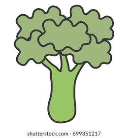 broccoli fresh isolated icon