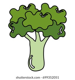 broccoli fresh isolated icon