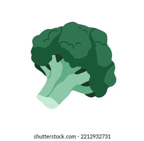 Broccoli, fresh raw vegetable with head and stem. Brocoli, green tree-shaped cabbage. Vegetarian food, natural veggie. Flat vector illustration isolated on white background