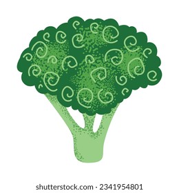 Broccoli, fresh raw vegetable with head and stem. Brocoli, green tree-shaped cabbage. Vegetarian food, natural veggie. Flat vector illustration isolated on white background
