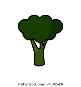Broccoli fresh vegetable