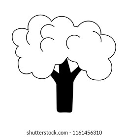 Broccoli fresh vegetable in black and white