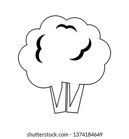 Broccoli fresh vegetable in black and white