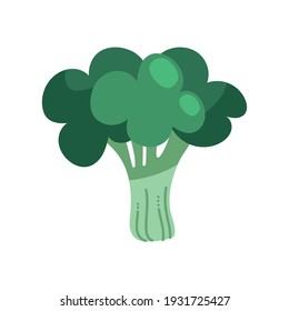 broccoli fresh vegetable healthy food