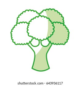broccoli fresh vegetable icon