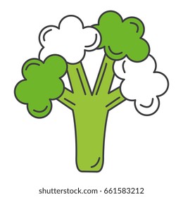 broccoli fresh vegetable icon