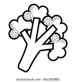 broccoli fresh vegetable icon