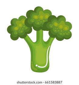 broccoli fresh vegetable icon