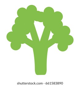broccoli fresh vegetable icon