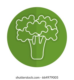 broccoli fresh vegetable icon