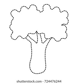broccoli fresh vegetable icon