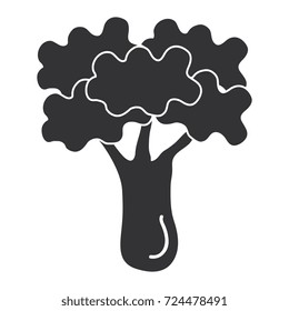 broccoli fresh vegetable icon
