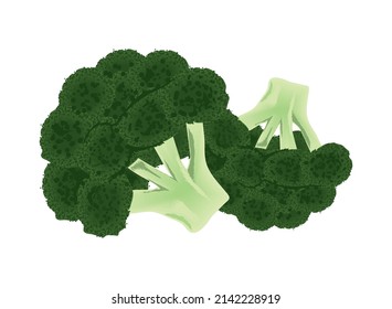 broccoli fresh vegetable icon isolated