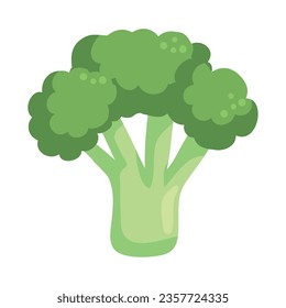 broccoli, icono de verduras frescas aislado