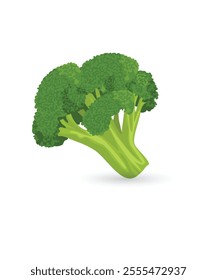 Broccoli fresh vegetable icon stock illustration