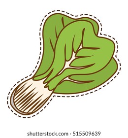 broccoli fresh vegetable isolated icon broccoli fresh vegetable isolated icon