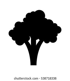 broccoli fresh vegetable isolated icon vector illustration design