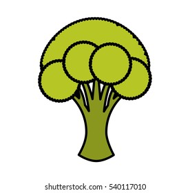 broccoli fresh vegetable isolated icon vector illustration design