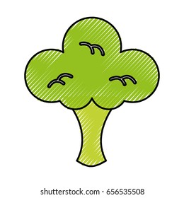 broccoli fresh vegetable isolated icon