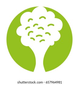 broccoli fresh vegetable isolated icon