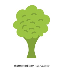 broccoli fresh vegetable isolated icon