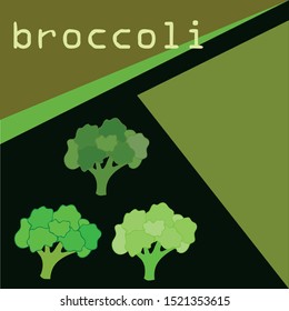Broccoli, fresh vegetable. Organic food poster. Farmer market design. Vector background