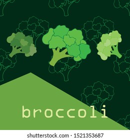 Broccoli, fresh vegetable. Organic food poster. Farmer market design. Vector background