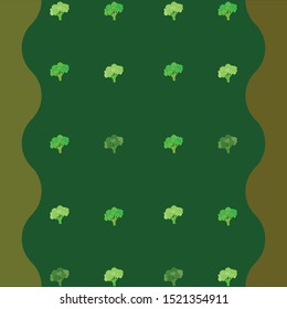 Broccoli, fresh vegetable. Organic food poster. Farmer market design. Vector background