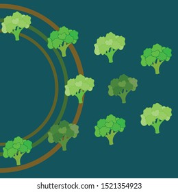 Broccoli, fresh vegetable. Organic food poster. Farmer market design. Vector background