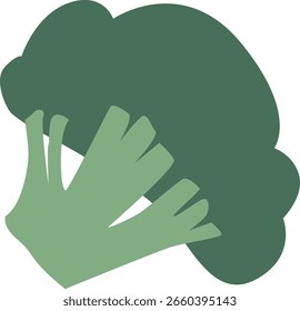 Brócoli Ilustración vectorial de verduras frescas