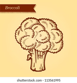 Broccoli, fresh vegetables. Retro style. Easily editable vector. Vegetable on the yellow retro background. Isolated vector.