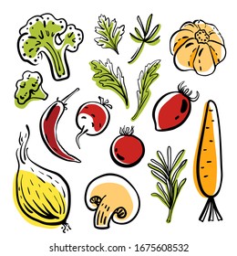 Broccoli, garlic, onion, pepper, tomato, radish, herbs... Colorful sketch collection of vegetables and herbs isolated on white background. Doodle hand drawn vegetable icons. Vector illustration